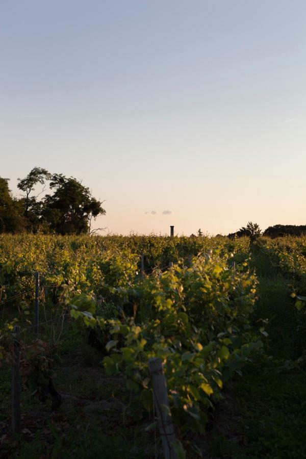 Holiday home De L'oppidum Rochecorbon